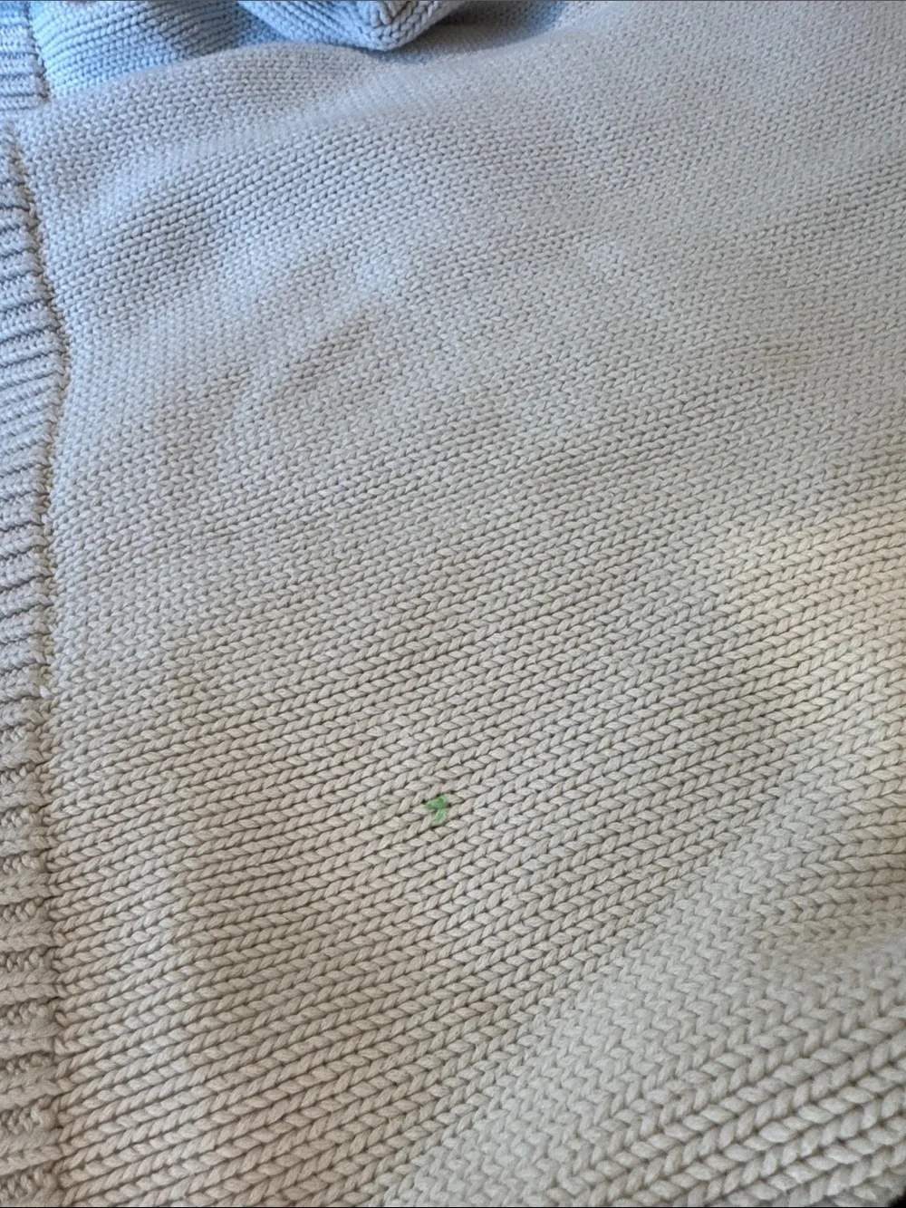 GAP Cream Sweater with Blue-Yellow Butterfly